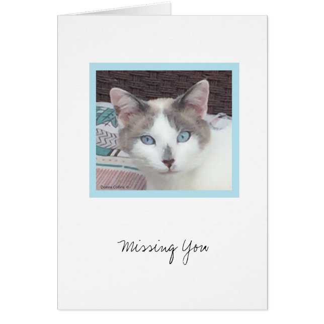 Kit - Colección de Kit - Tarjeta de nota #3 (Frente)