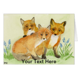 Kits de Fox