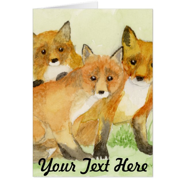 Kits de Fox (Frente)