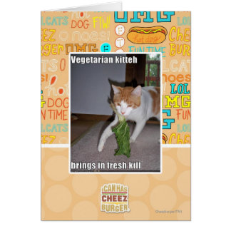 Kitteh vegetariana