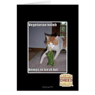 Kitteh vegetariana