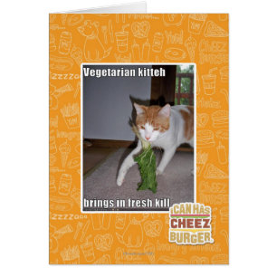 Kitteh vegetariano