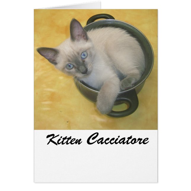 Kitten Cacciatore (Frente)