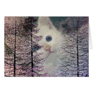 Kitten en Woods