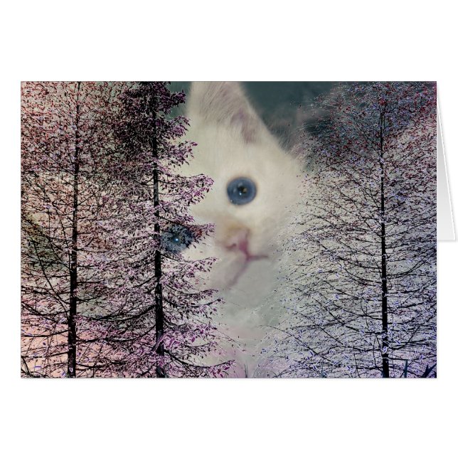 Kitten en Woods (Anverso (Horizontal))