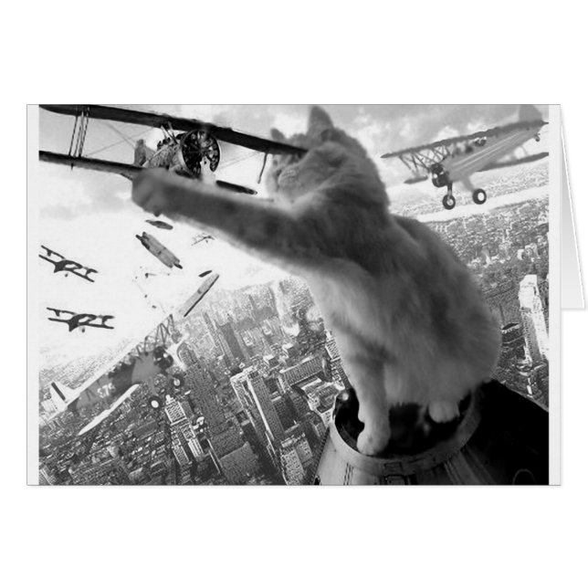 Kitten Kong (Anverso (Horizontal))