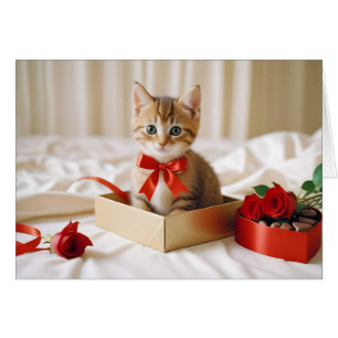 Kitten Love Tender Romantic Beautiful Gift