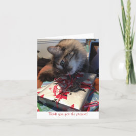 kitten nota de agradecimiento