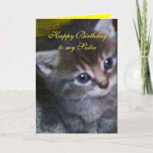 KITTEN, TARJETA DE CUMPLEAÑOS DE HERMANA