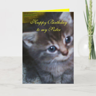 KITTEN, TARJETA DE CUMPLEAÑOS DE HERMANA