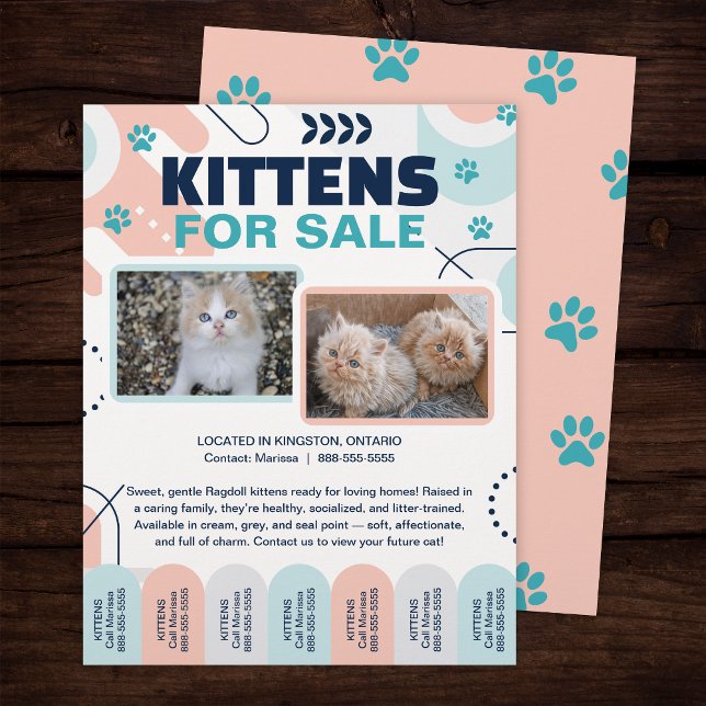 Kittens and Cats For Sale Tear Offs Flyer Template (Subido por el creador)