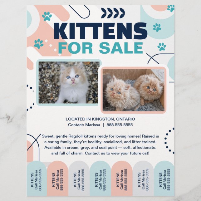 Kittens and Cats For Sale Tear Offs Flyer Template (Frente)