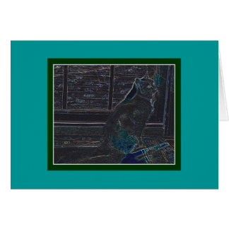 Kittie contemporáneo