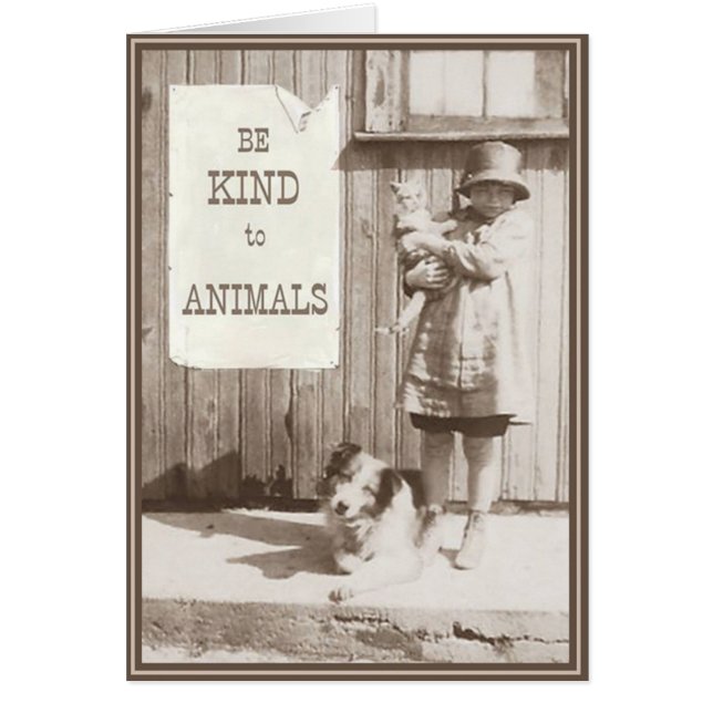 Kitties con tarjeta PUP 10 (Frente)