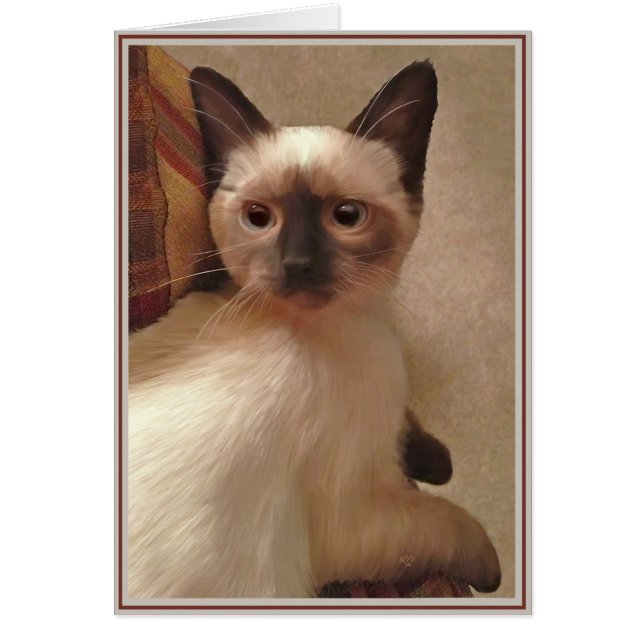 Kitties con tarjeta PUP 15 (Frente)