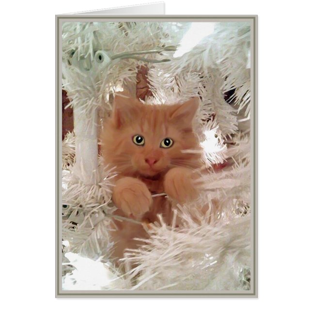 Kitties con tarjeta PUP 16 (Frente)