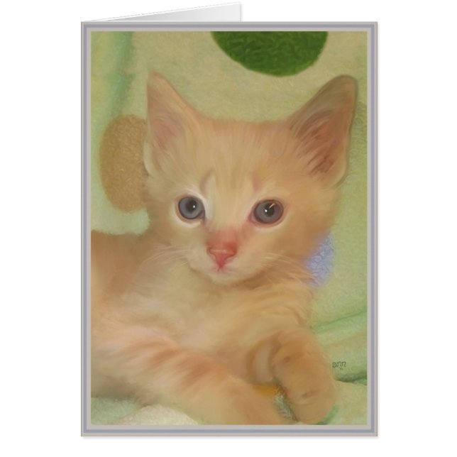 Kitties con tarjeta PUP 18 (Frente)