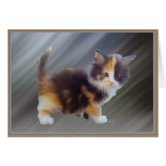 Kitties con tarjeta PUP 8