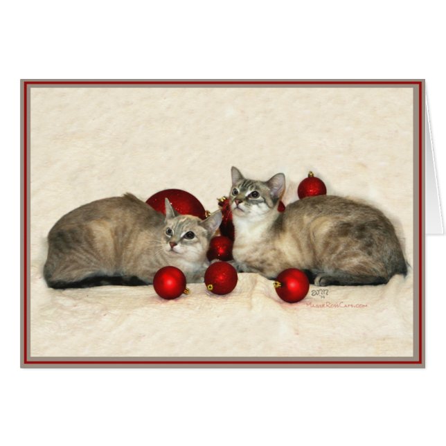 Kitties con tarjeta PUP 9 (Anverso (Horizontal))