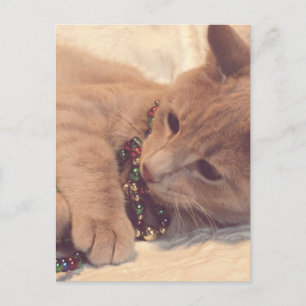 Kitty de Navidad vintage