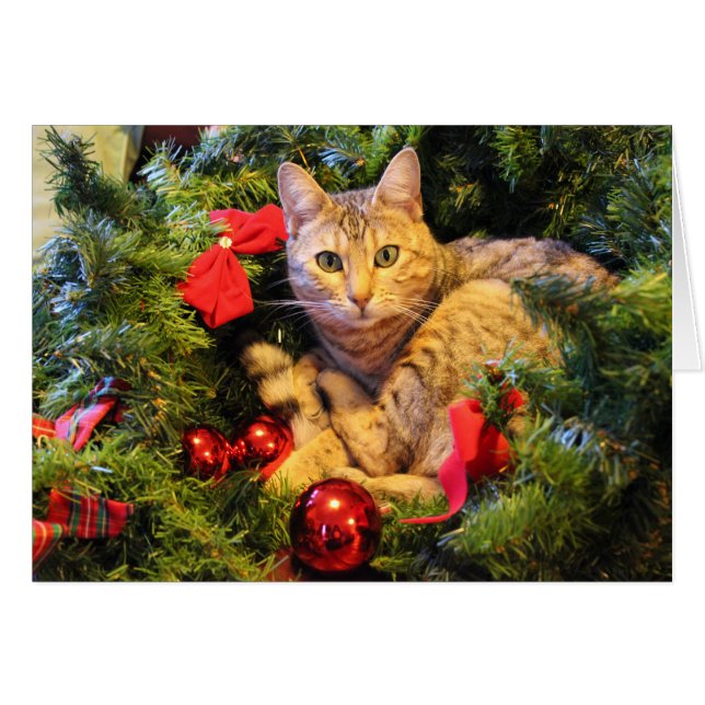 Kitty en el árbol de Navidad (Anverso (Horizontal))