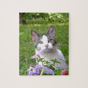 Kitty en el rompecabezas de Petunias