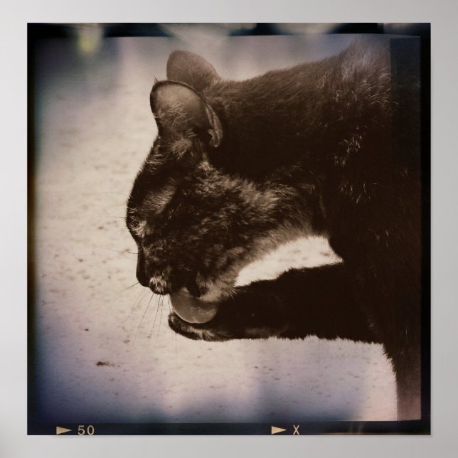 Kitty En Película, Arte Digital (Frente)