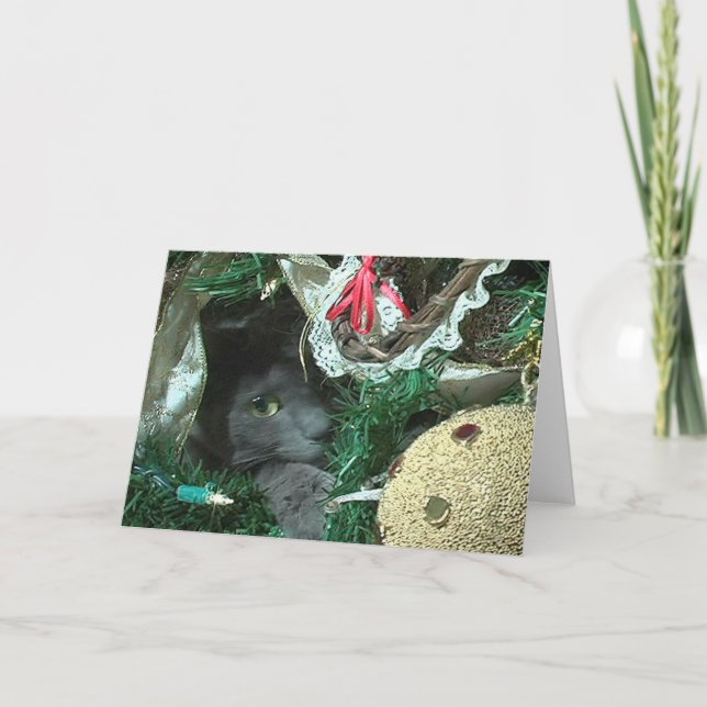 Kitty En Una Tarjeta De Saludo De Árbol De Navidad (Anverso)