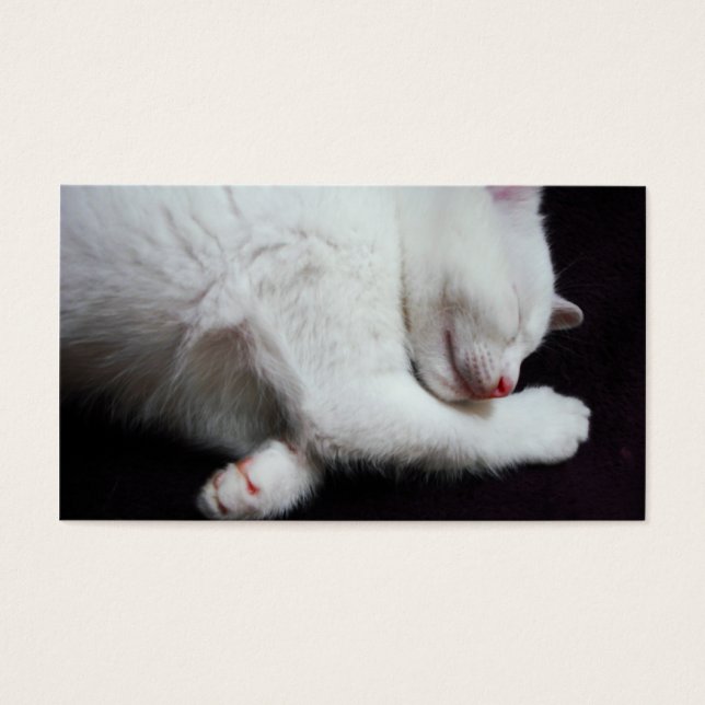 KITTY NAP (Frente)