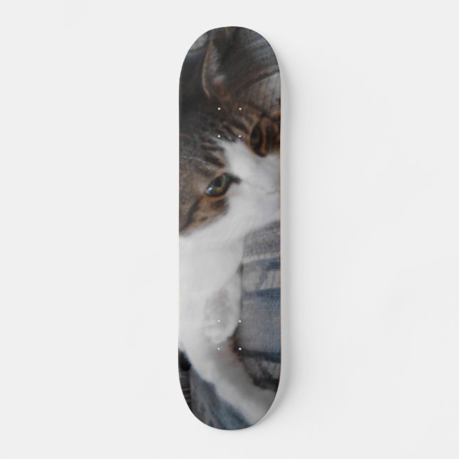 Kitty Skateboard (Anverso)