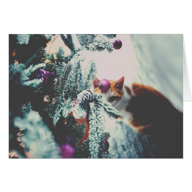 Kitty Under the Christmas Tree (Anverso (Horizontal))