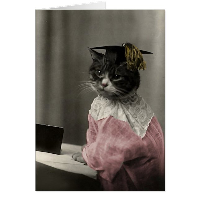 Kitty Valedictorian (Frente)