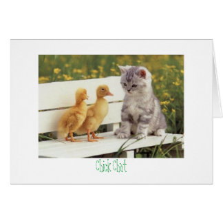 kitty y patos Chick Chat