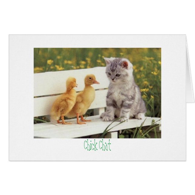kitty y patos Chick Chat (Anverso (Horizontal))