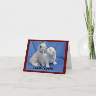 Kitty Y Puppy Recibir Buena Tarjeta