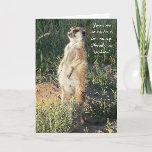 Klenky Kookie - tarjeta de felicitaciones de las (Anverso)