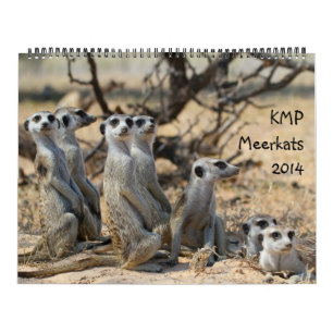 KMP Meerkats - calendario 2014