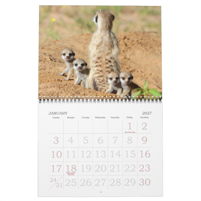 KMP Meerkats - calendario 2015 (Jan 2027)