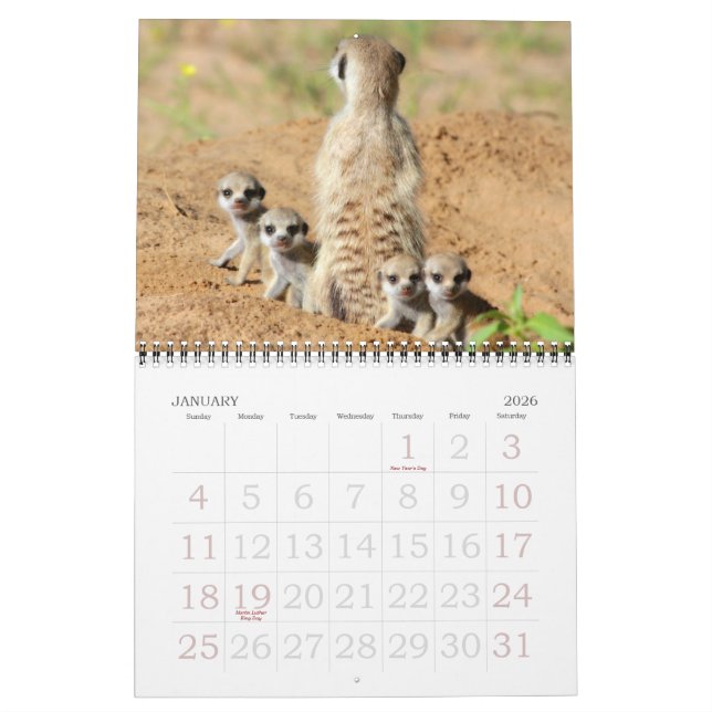 KMP Meerkats - calendario 2015 (Jan 2026)