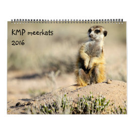 KMP Meerkats - calendario 2016