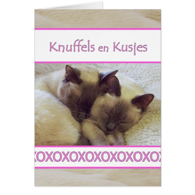Knuffels en Kusjes, Hug y Kiss en holandés (Frente)