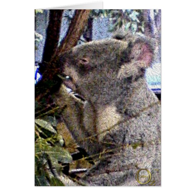 Koala adorable (Frente)