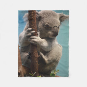 Koala adorable que se sostiene sobre la manta del
