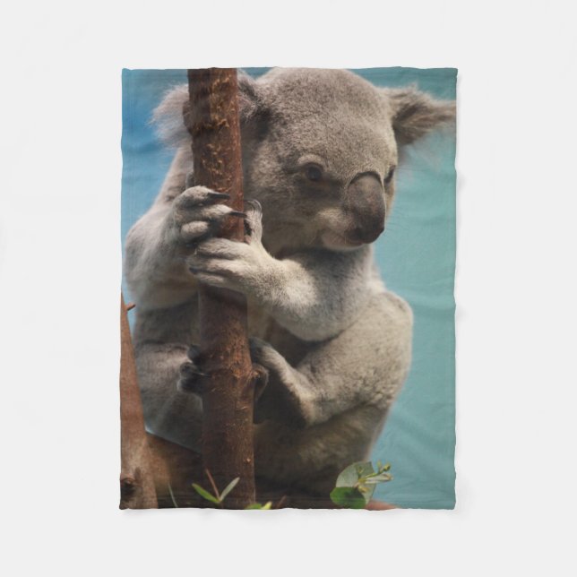 Koala adorable que se sostiene sobre la manta del (Anverso)