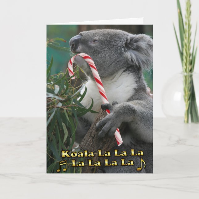 Koala australiana del navidad con el bastón de (Anverso)