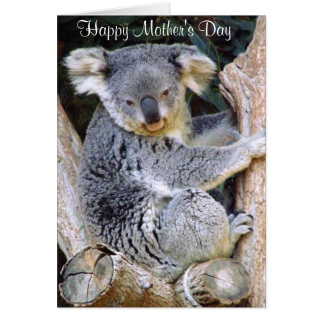 Koala Bear Love_ (Frente)