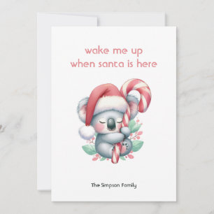 Koala de Navidad durmiendo la siesta