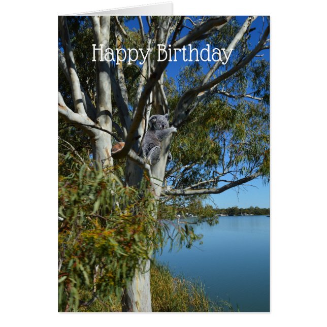 Koala Dormió En El Árbol De Goma, Cumpleaños (Frente)