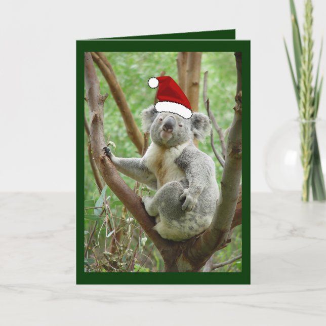 Koala en tarjeta de Navidad de la foto del gorra (Anverso)