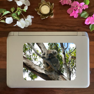 Koala - Etiquetas de regalo durmientes